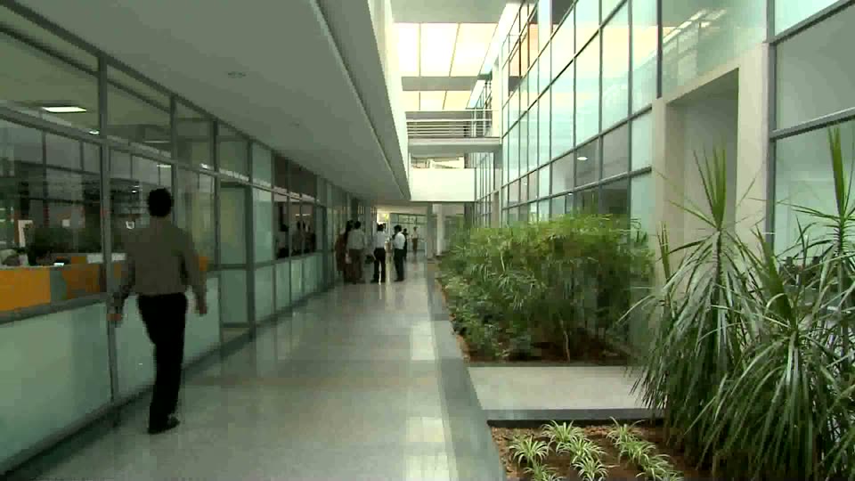 A glass-walled office corridor with an indoor garden